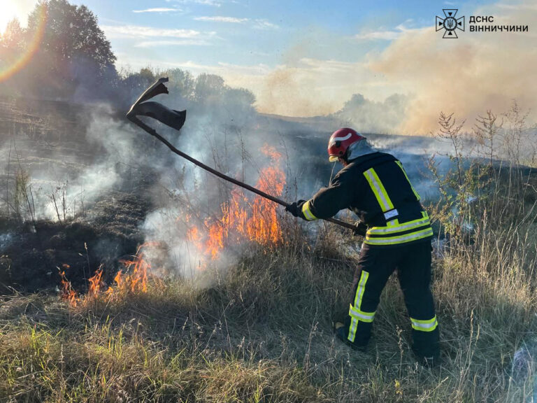 За добу на Вінниччині ліквідовано 21 пожежу