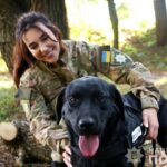 Чотирилапий терапевт: вінницький лабрадор Арні працюватиме з військовими (відео)