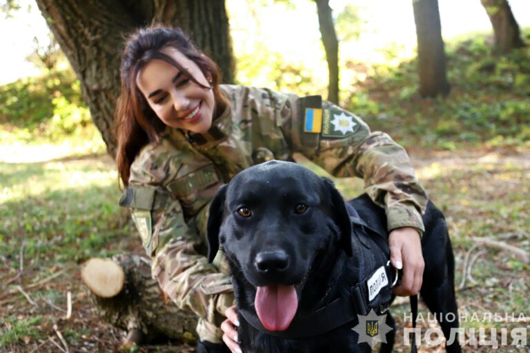 Чотирилапий терапевт: вінницький лабрадор Арні працюватиме з військовими (відео)