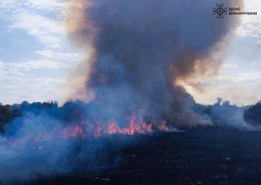 За добу рятувальники Вінниччини ліквідували 35 пожеж в екосистемах