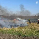 На Вінниччині через дитячі пустощі виникла масштабна пожежа: подробиці