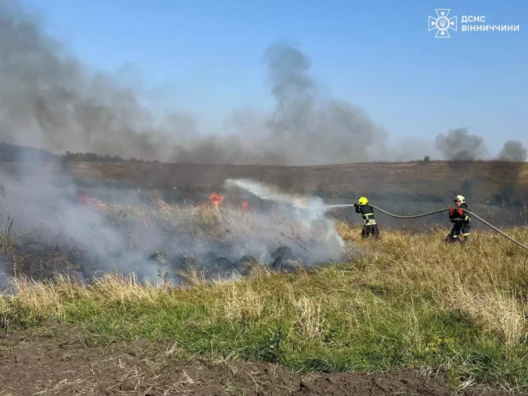 На Вінниччині через дитячі пустощі виникла масштабна пожежа: подробиці