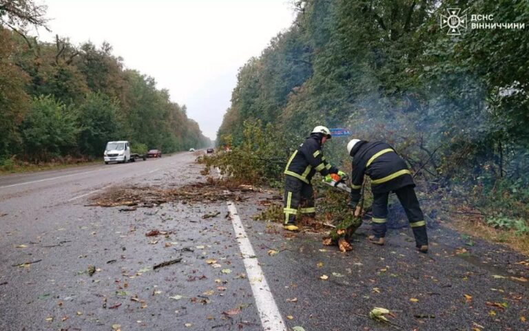 На Вінниччині сильний вітер повалив дерева на дороги
