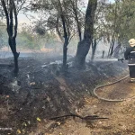 У Вінницькій області спалахнуло рекордних 62 пожежі: подробиці