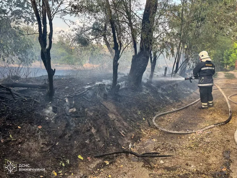 У Вінницькій області спалахнуло рекордних 62 пожежі: подробиці