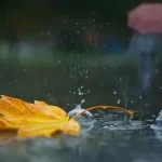 1-1-737x415