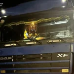 У 15 разів перевищувала норма алкоголю: у Вінницькій області зупинили водія вантажівки