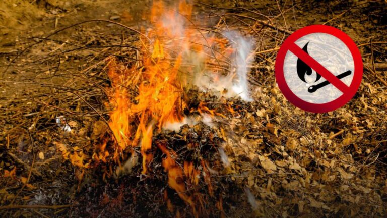 Вінничан закликають повідомляти про спалювання відходів