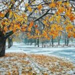 Коли в Україні випаде перший сніг: прогноз синоптика
