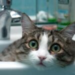 У Вінниці вся вулиця Київська залишилася без води: що відомо