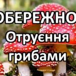 На Вінниччині за день девять людей потрапили до лікарні через отруєння грибами