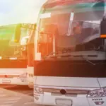На осінній ярмарок мешканців Вінницької громади довезуть додаткові автобуси