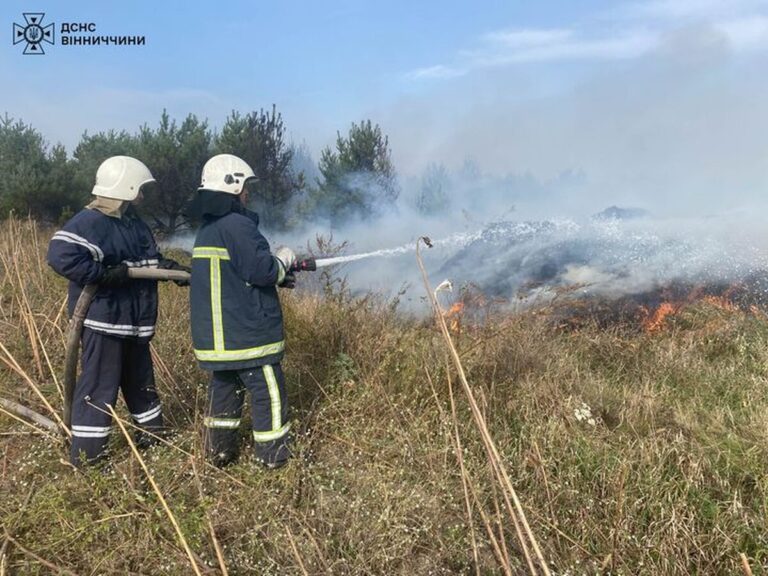 За добу рятувальники Вінниччини приборкали 4 пожежі