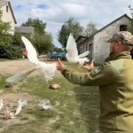 У вільний від служби час розводить голубів: історія прикордонника Могилів-Подільського загону (відео)