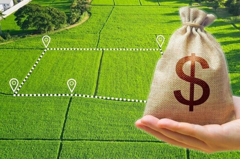 На Вінниччині найдорожча земля в Україні: яка вартість за гектар