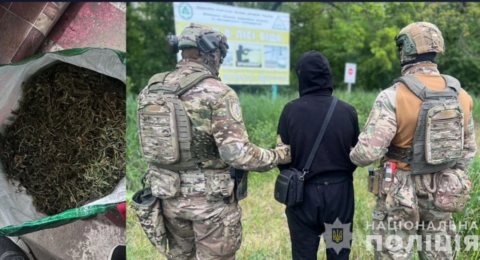 Розкладав в парках Вінницького району наркотики: скільки років проведе у вязниці рецидивіст