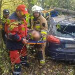 Злетів у кювет і врізався в дерево: на Вінниччині водій Opel потрапив у жахливе ДТП (фото)
