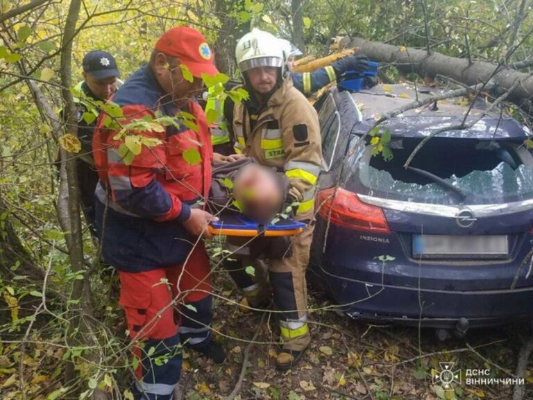 Злетів у кювет і врізався в дерево: на Вінниччині водій Opel потрапив у жахливе ДТП (фото)