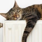 У Вінниці 21 жовтня розпочали подачу тепла в оселі