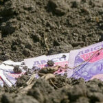 В Україні змінились ціни на землю: скільки коштує гектар