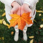 large_a73a33e938e7e7012691f01b6b8852b0