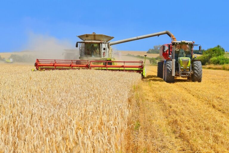 Аграрії Вінниччини зібрали зернові та зернобобові на 70% площ
