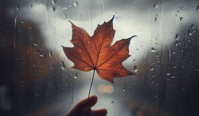 rainy-octorber-960x560