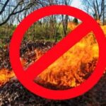 Спалювання сухої рослинності: небезпечні наслідки для здоровя та довкілля