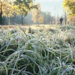 На Вінниччині очікуються заморозки на поверхні ґрунту