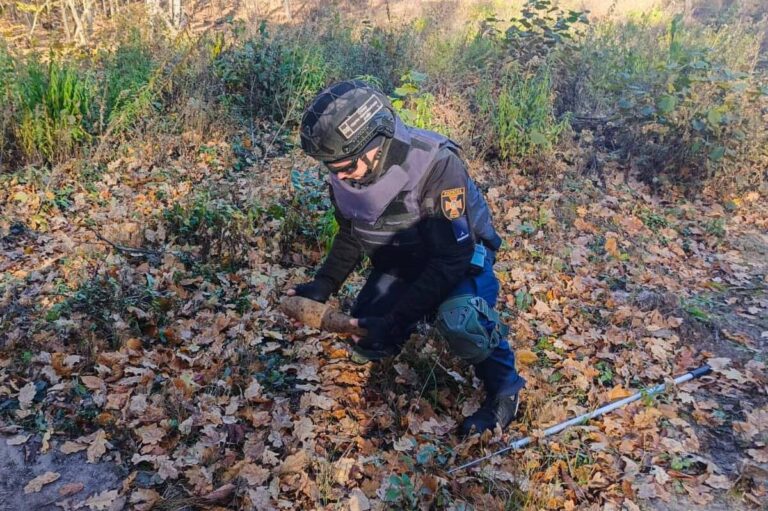 На Вінниччині у лісосмузі знайшли артилерійський снаряд (фото)