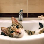 Світла та води не буде на кількох вулицях Вінниці