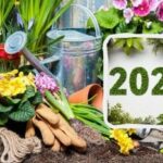 Місячний посівний календар на 2025 рік: сприятливі дні для городників