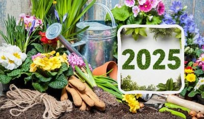 Місячний посівний календар на 2025 рік: сприятливі дні для городників
