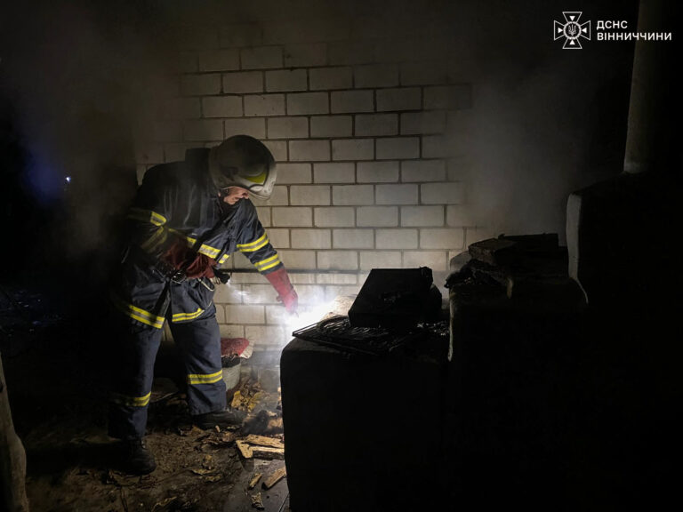 На Вінниччині горіли господарча будівля, дрова й автобус: подробиці пожеж