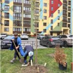 У Вінниці озеленили близько сотні дворів: адреси та фото