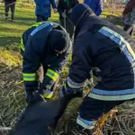 На Вінниччині втопився 51-річний чоловік: деталі інциденту