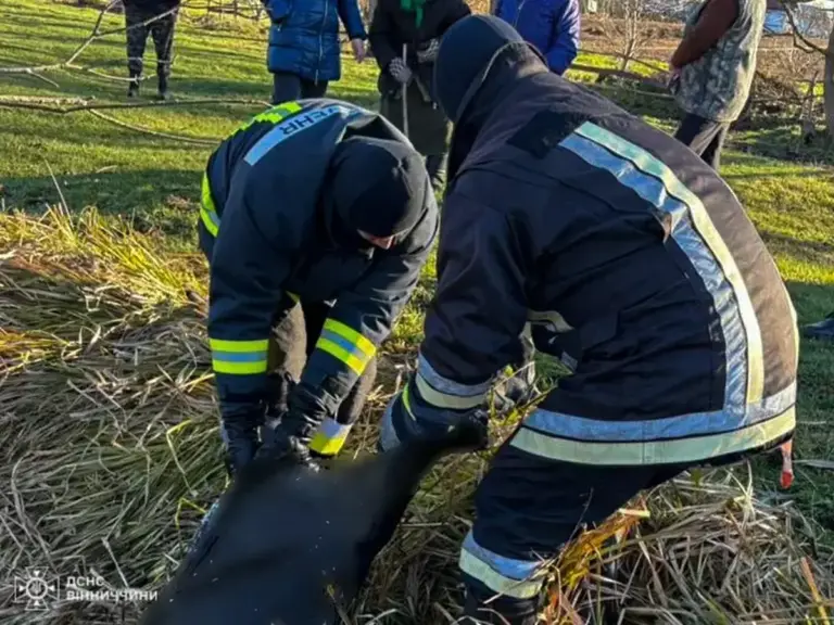 На Вінниччині втопився 51-річний чоловік: деталі інциденту