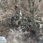 Окупанти розстріляли на Покровському напрямку ще чотирьох українських військових
