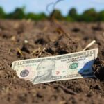 Вінницька область серед лідерів України за доходами від продажу землі