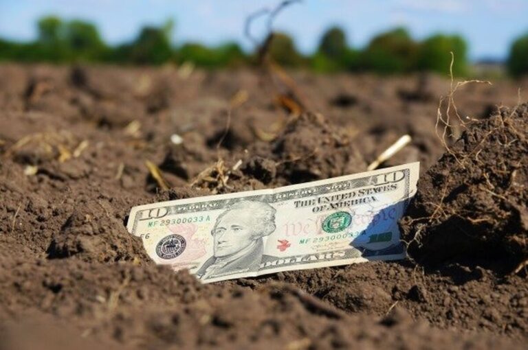 Вінницька область серед лідерів України за доходами від продажу землі
