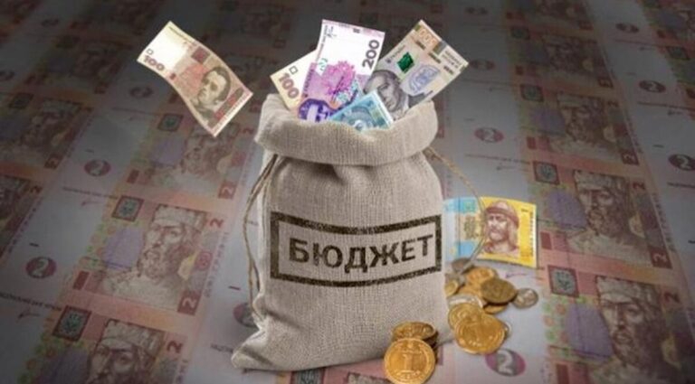 На понад 2 млд грн поповнив місцеві бюджети Вінниччини малий та середній бізнес
