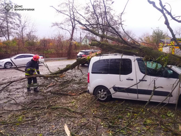 На Вінниччині вітер повалив дерева, одне авто розтрощило
