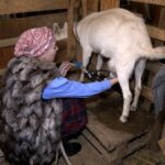 Історія родини переселенців, які заснували на Вінниччині власну справу
