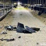 На Чернігівщині ворог дронами атакував ферму: загинуло 11 корів