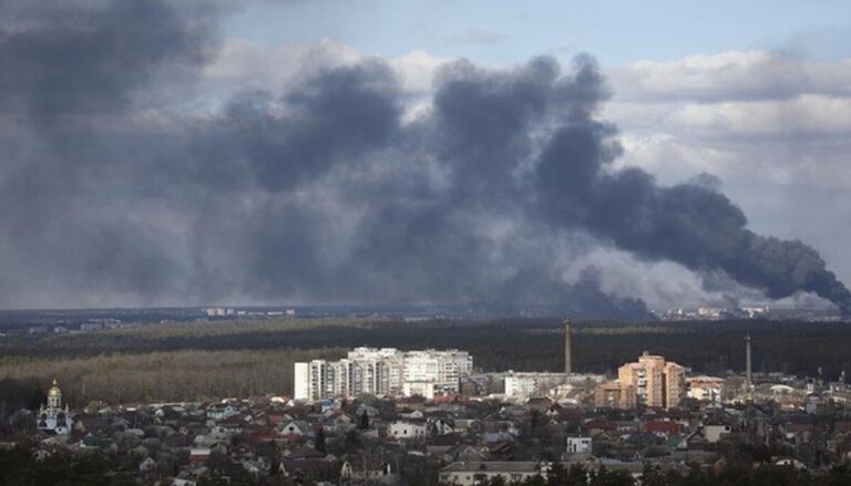 Порушники на Вінниччині сплатили понад мільйон гривень за шкоду довкіллю