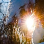 До +12°: значне потепління знову йде в Україну
