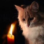 На Вінниччині відбулись зміни в графіках відключення світла: о котрій завтра відключатимуть електроенергію