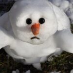 До України прийде аномальне потепління: синоптикиня здивувала прогнозом на кінець січня