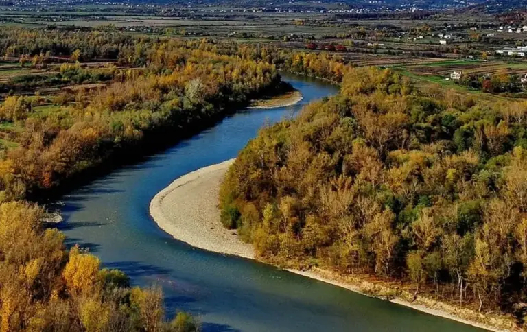 На Вінниччині затримали організатора нелегального зеленого коридору для ухилянтів