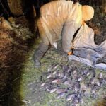 На Ладижинському водосховищі чоловік сітками виловив понад десять кілограм карасів